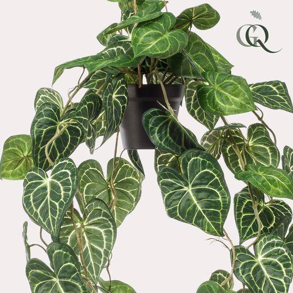 Anthurium Clarinervium: prachtige kunsthangplant met unieke nerven - 80cm Everspring