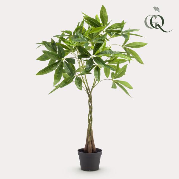 Kunstplant Geldboom - Pachira aquatica - kunstboom voor binnen - 90cm Everspring